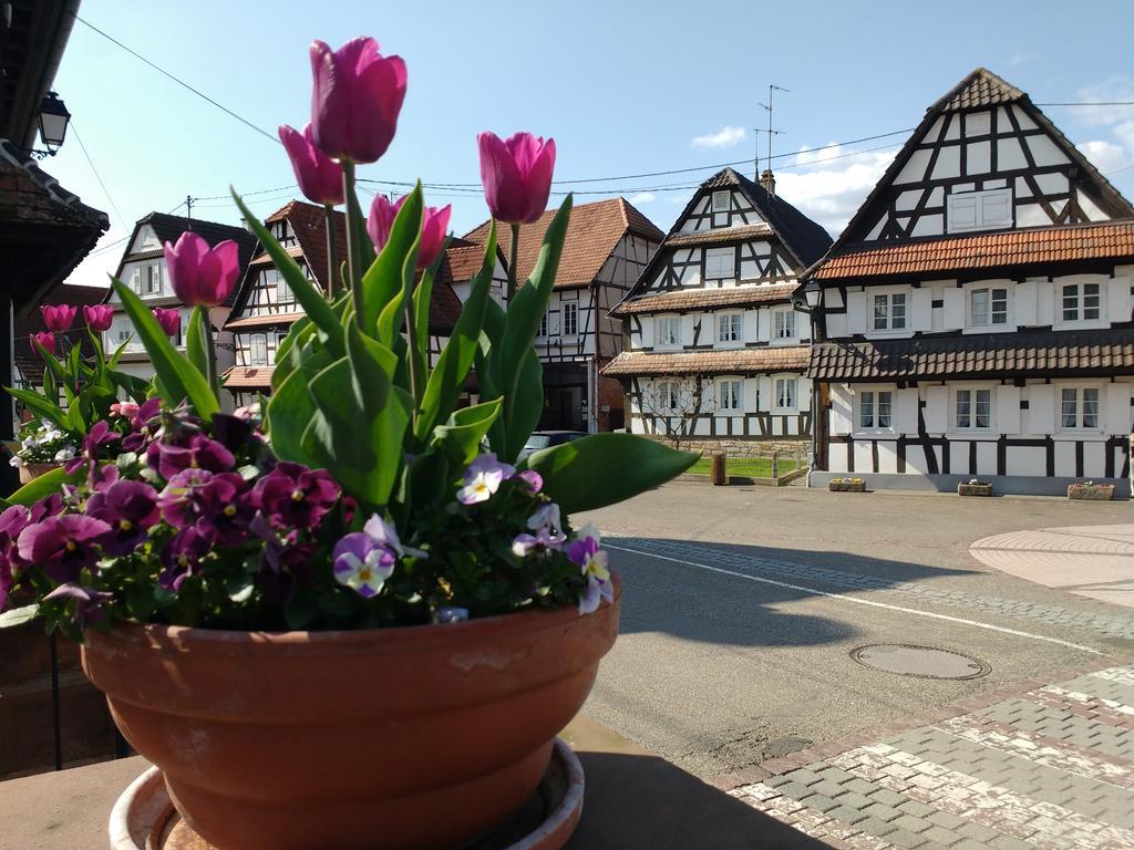 Gite Rue De L'Ange Hunspach Exterior foto